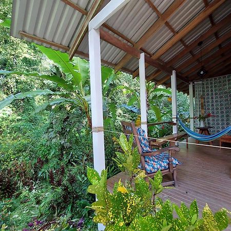 Casa Lina Sloth View Exotic Apartment With Privat Kitchen Puerto Viejo de Talamanca Exteriör bild