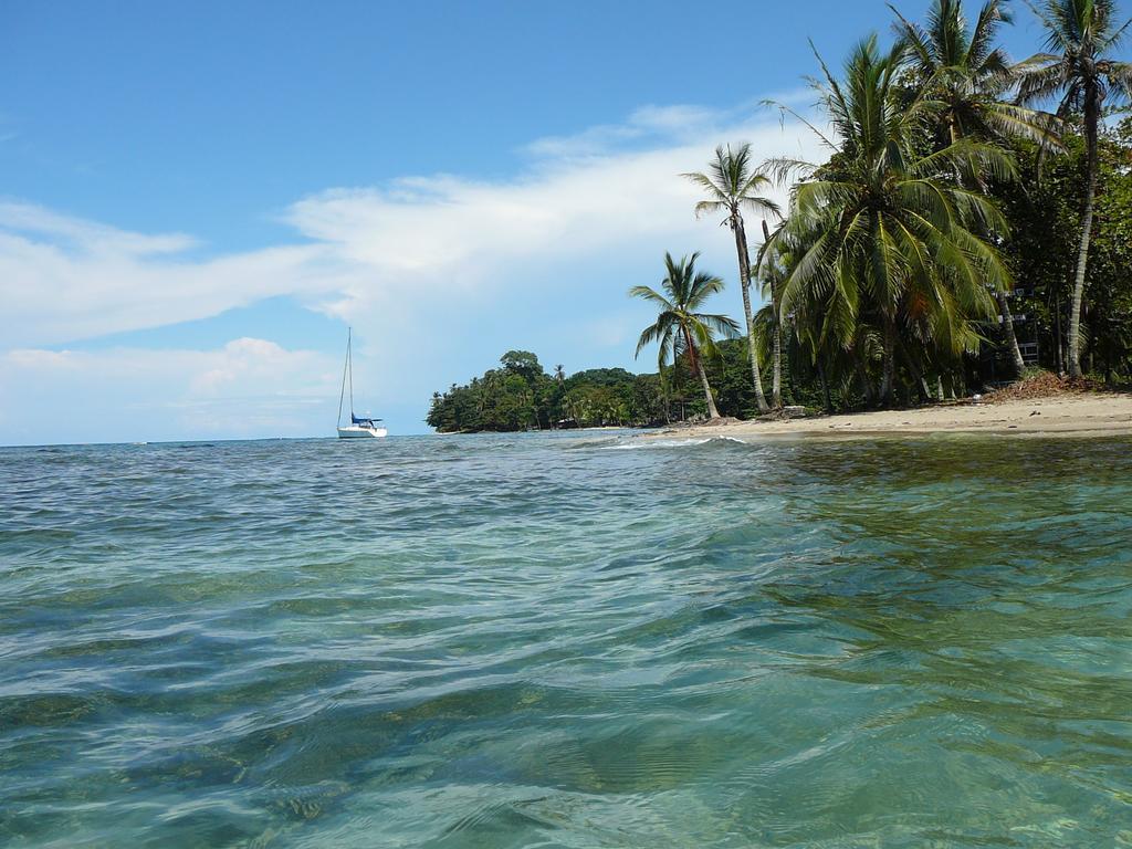 Casa Lina Sloth View Exotic Apartment With Privat Kitchen Puerto Viejo de Talamanca Rum bild