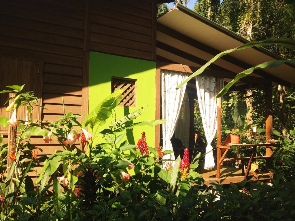 Casa Lina Sloth View Exotic Apartment With Privat Kitchen Puerto Viejo de Talamanca Exteriör bild