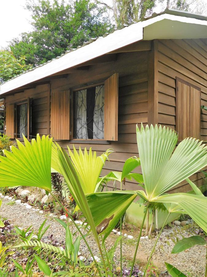 Casa Lina Sloth View Exotic Apartment With Privat Kitchen Puerto Viejo de Talamanca Exteriör bild